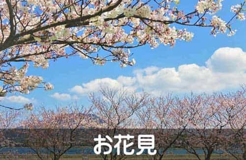 岡山・倉敷で宅配弁当・配達弁当なら三和食品のお花見の画像